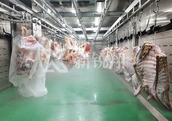 四分體牛羊肉解凍現場